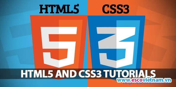 thiet ke website chuan 3 0