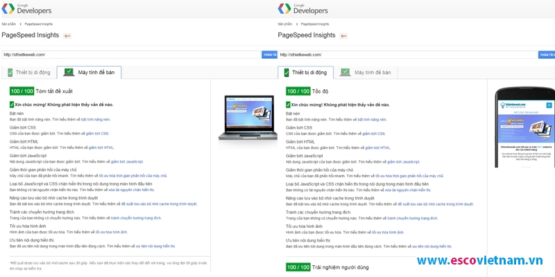 kiem tra website voi cong cu pagespeed insights 100 100